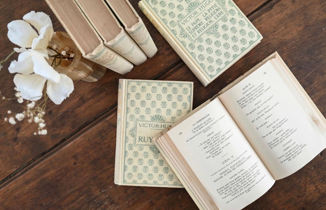 Vintage European books and antique literature from French and Belgian markets.