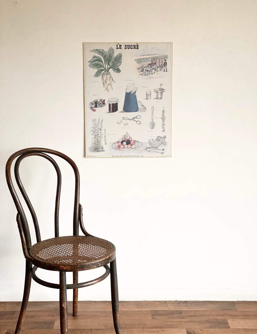 vintage French school poster, “le sucre"