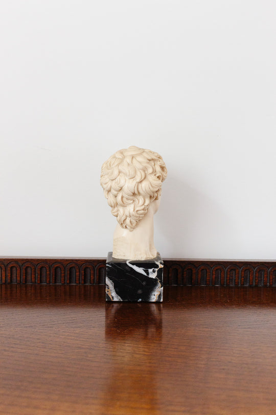 vintage Italian bust, “David”