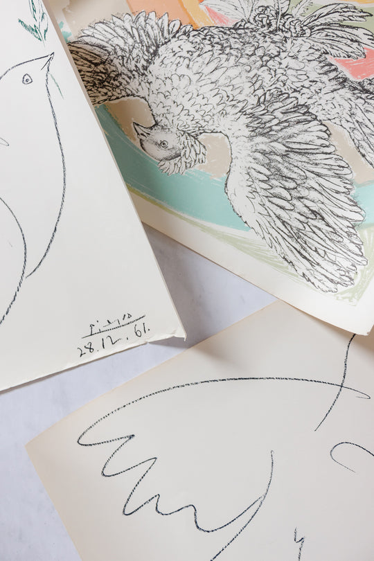 vintage French “Dove of Peace” posters by Picasso