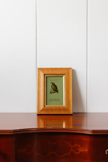 "The kingfisher" vintage English glass painting