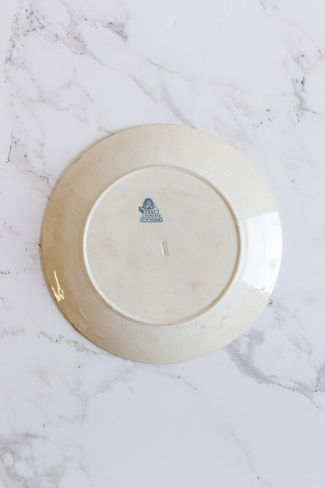 antique blue and white transferware plate