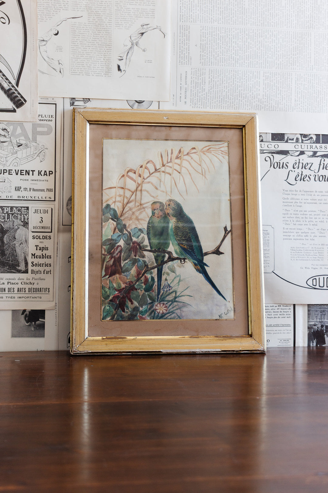 19th century french ornithological watercolour