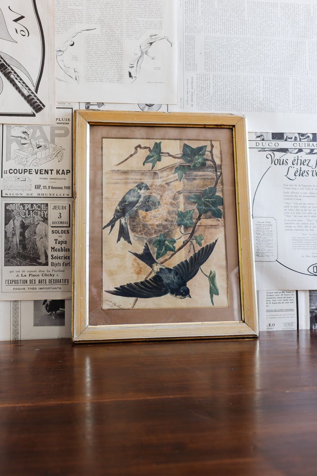 19th century french ornithological watercolour