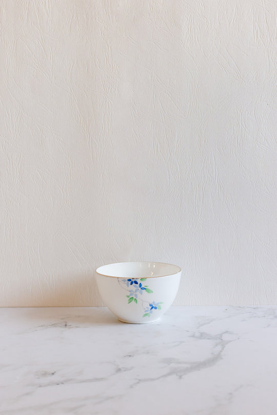 antique english bone china hand painted bowl