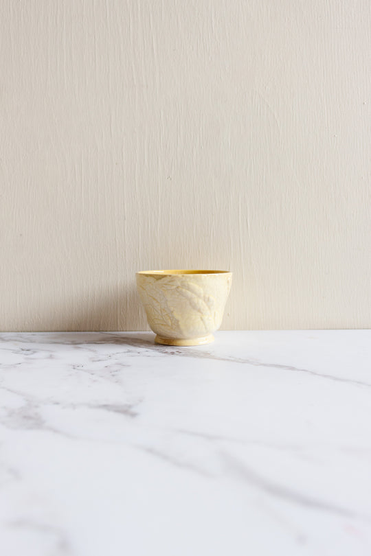 antique English Carltonware foxglove majolica sugar bowl