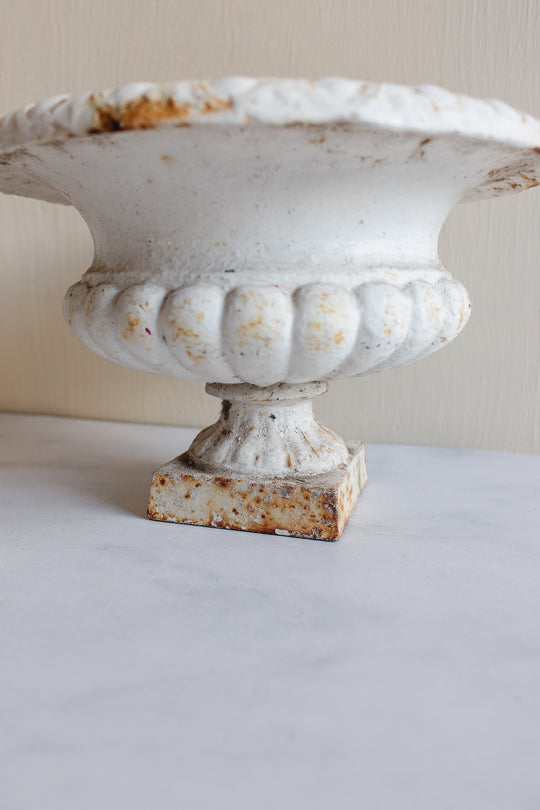 19th century French petite cast iron Medici planter