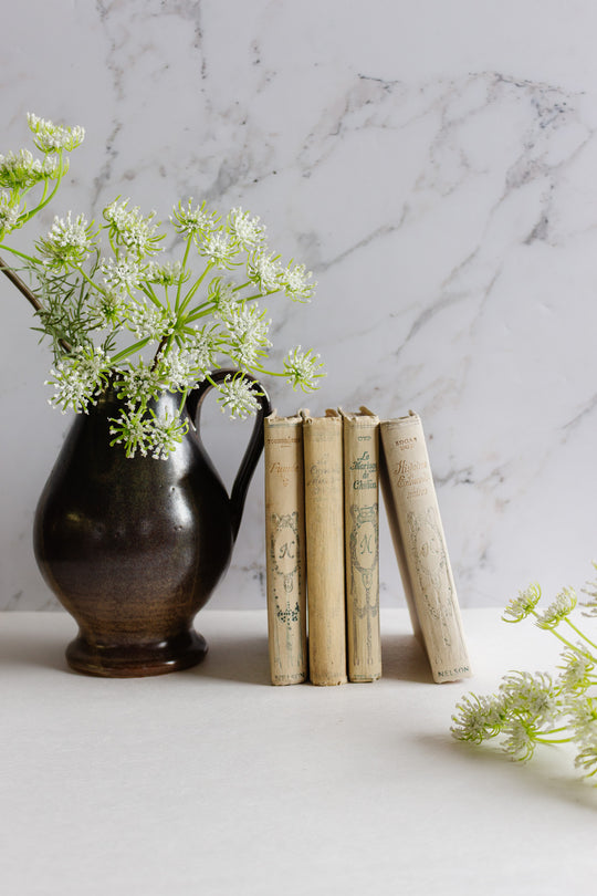 antique French books "collection Nelson", set of four