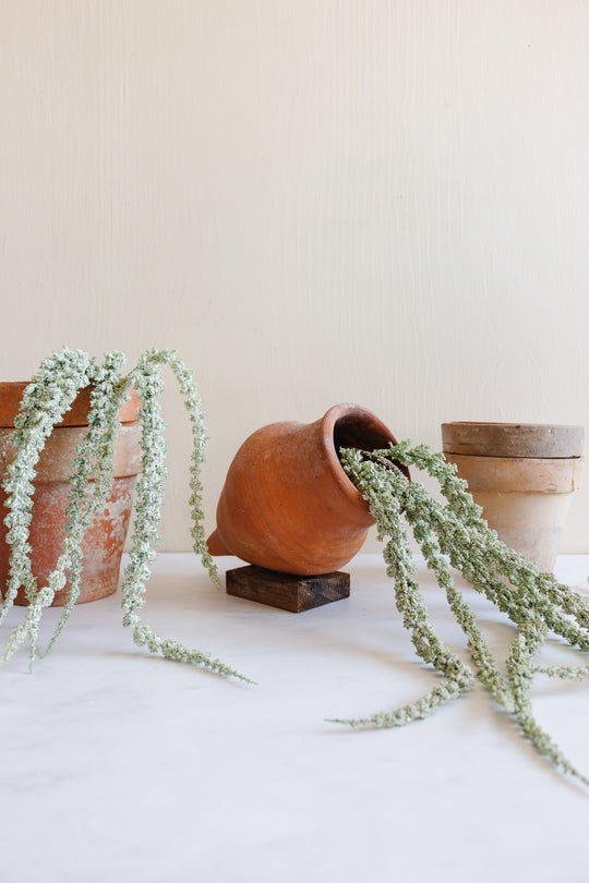 vintage French terracotta amphora planter