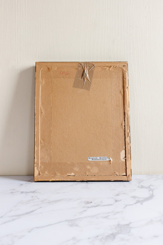 antique English hand coloured ornithological engraving