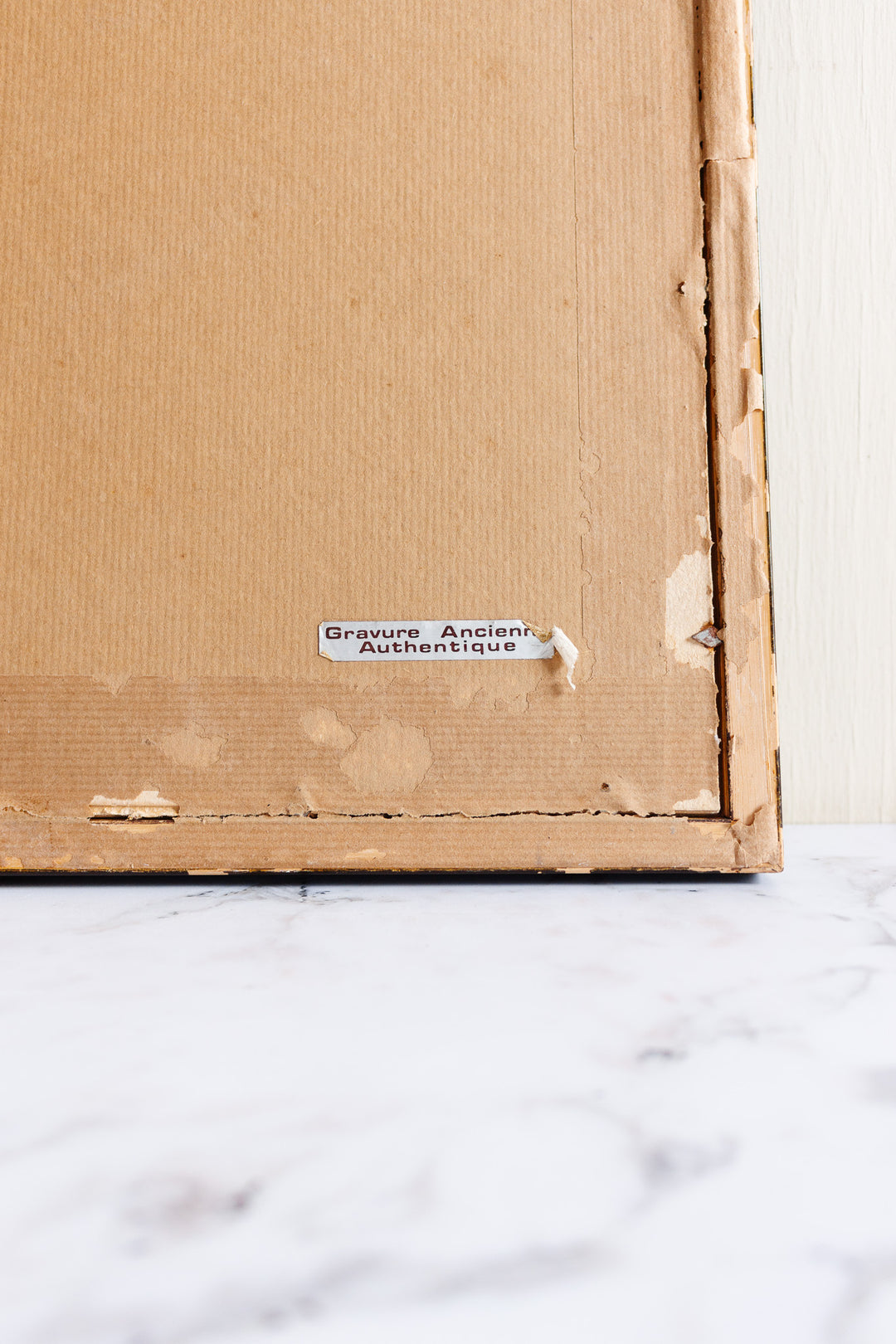 antique English hand coloured ornithological engraving