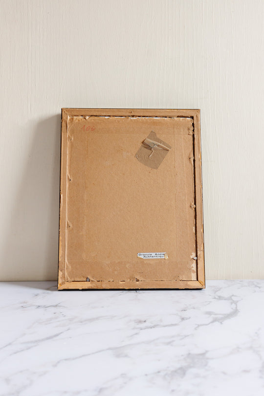 antique English hand coloured ornithological engraving