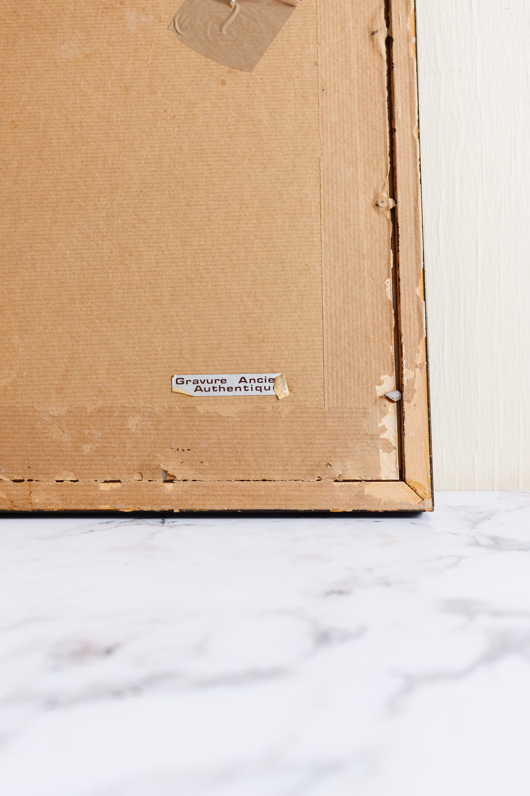 antique English hand coloured ornithological engraving