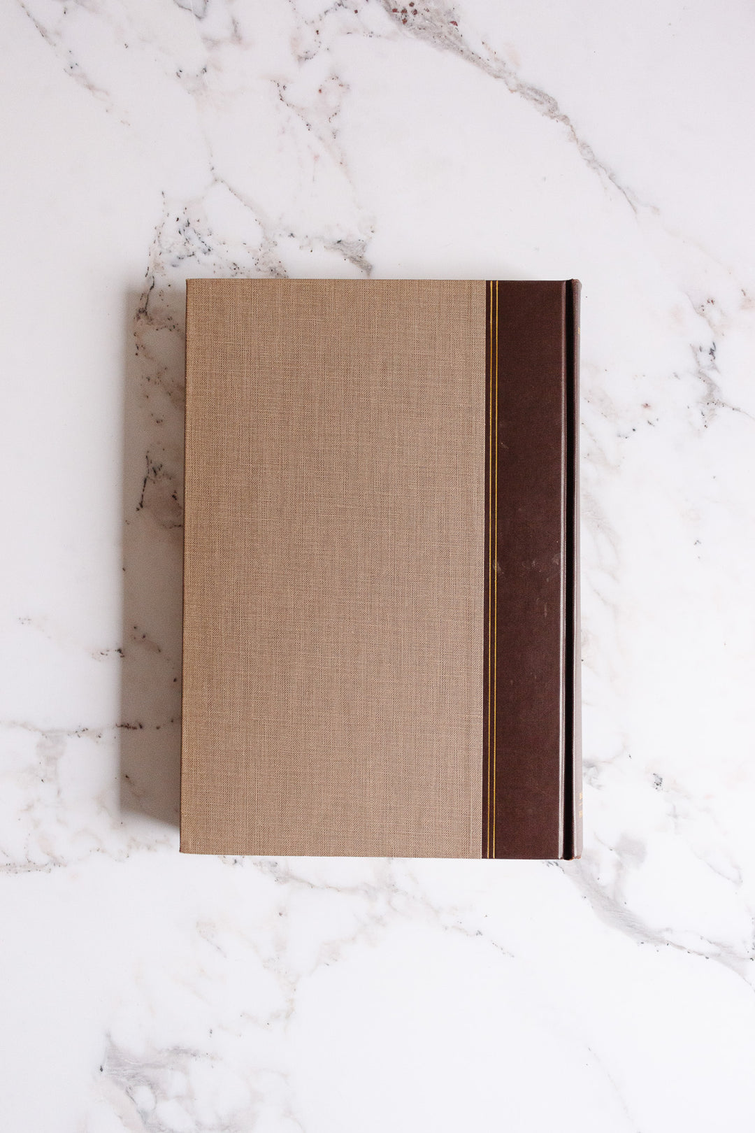 Andrea Del Sarto catalogue raisonnné