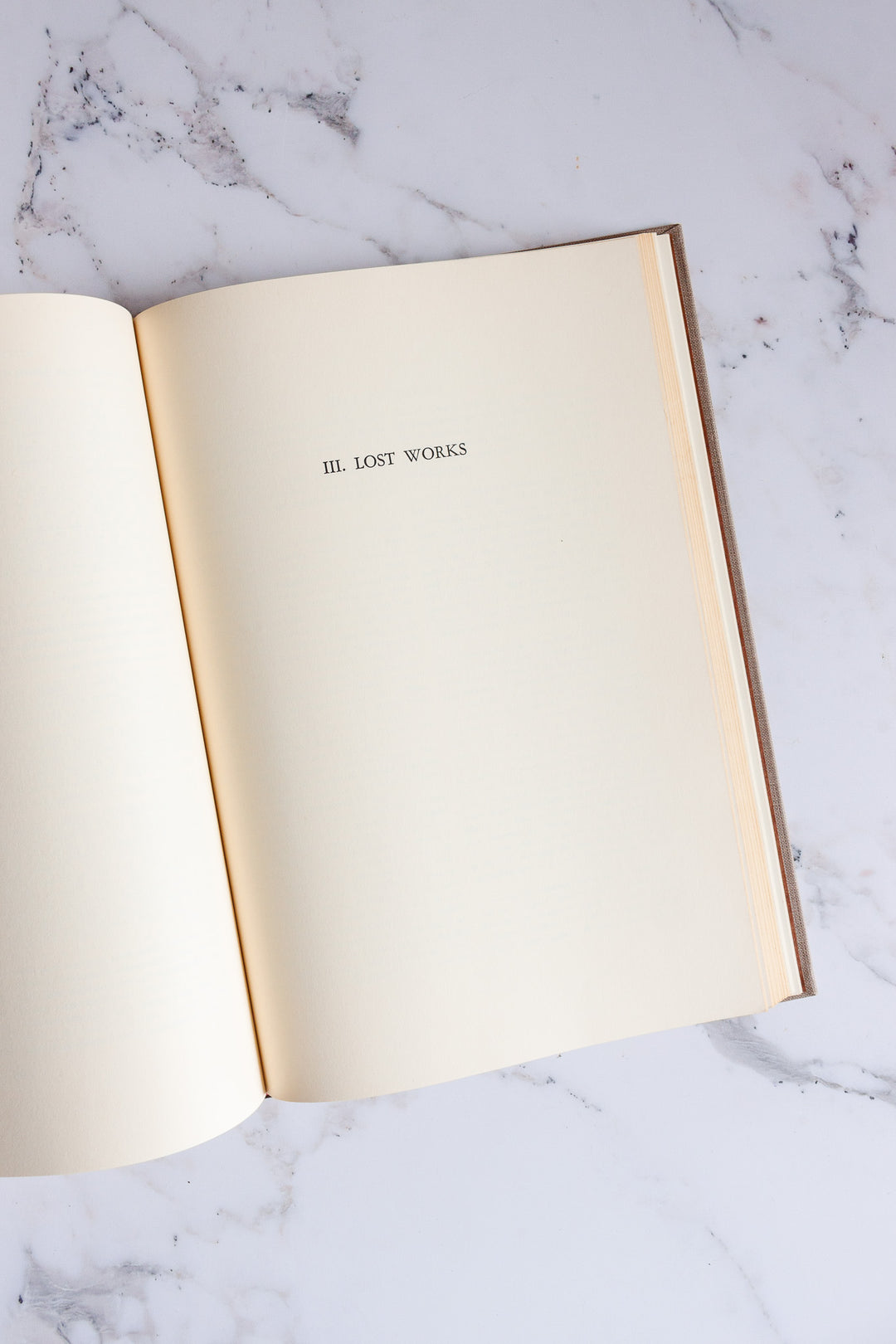 Andrea Del Sarto catalogue raisonnné