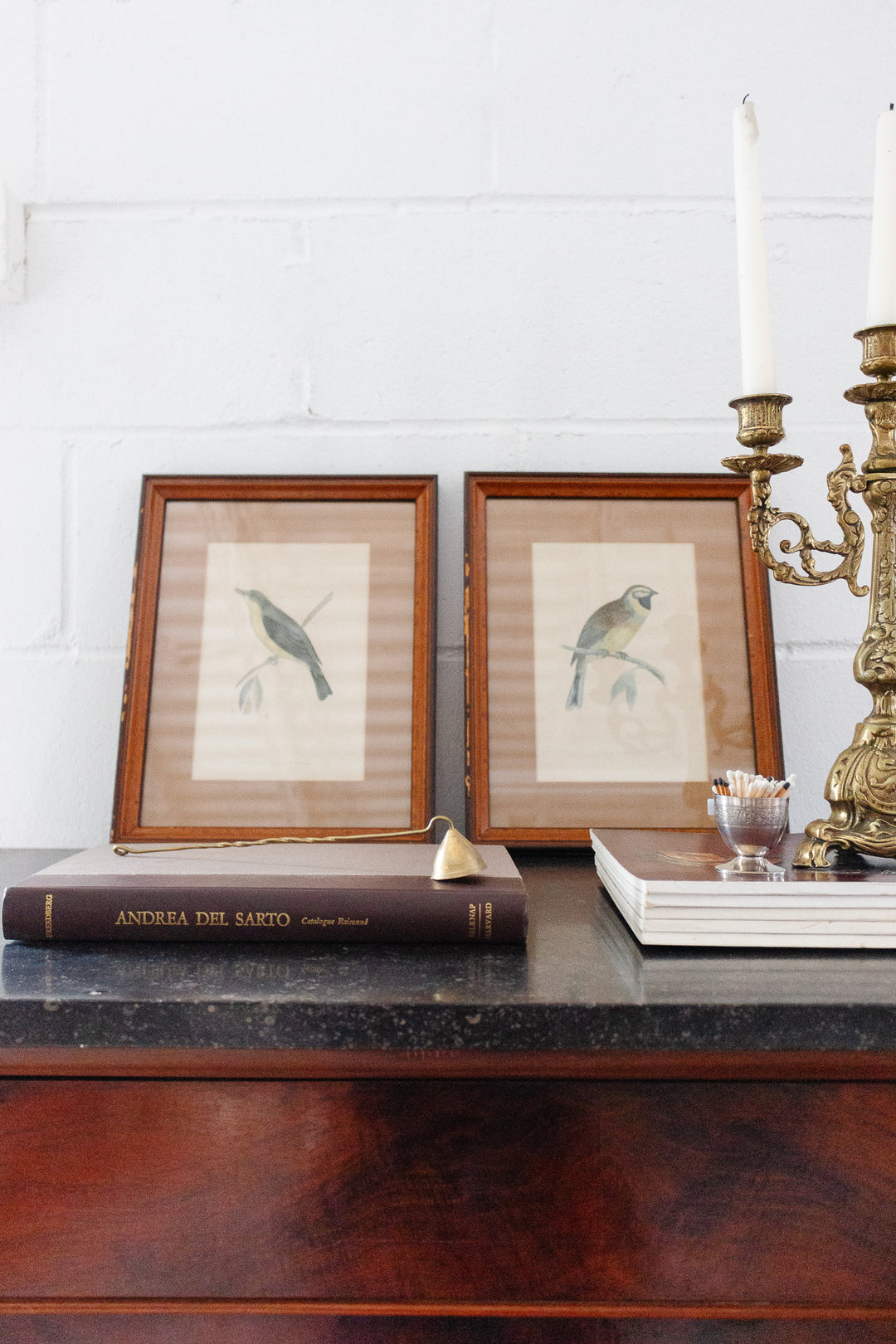 antique English hand coloured ornithological engraving