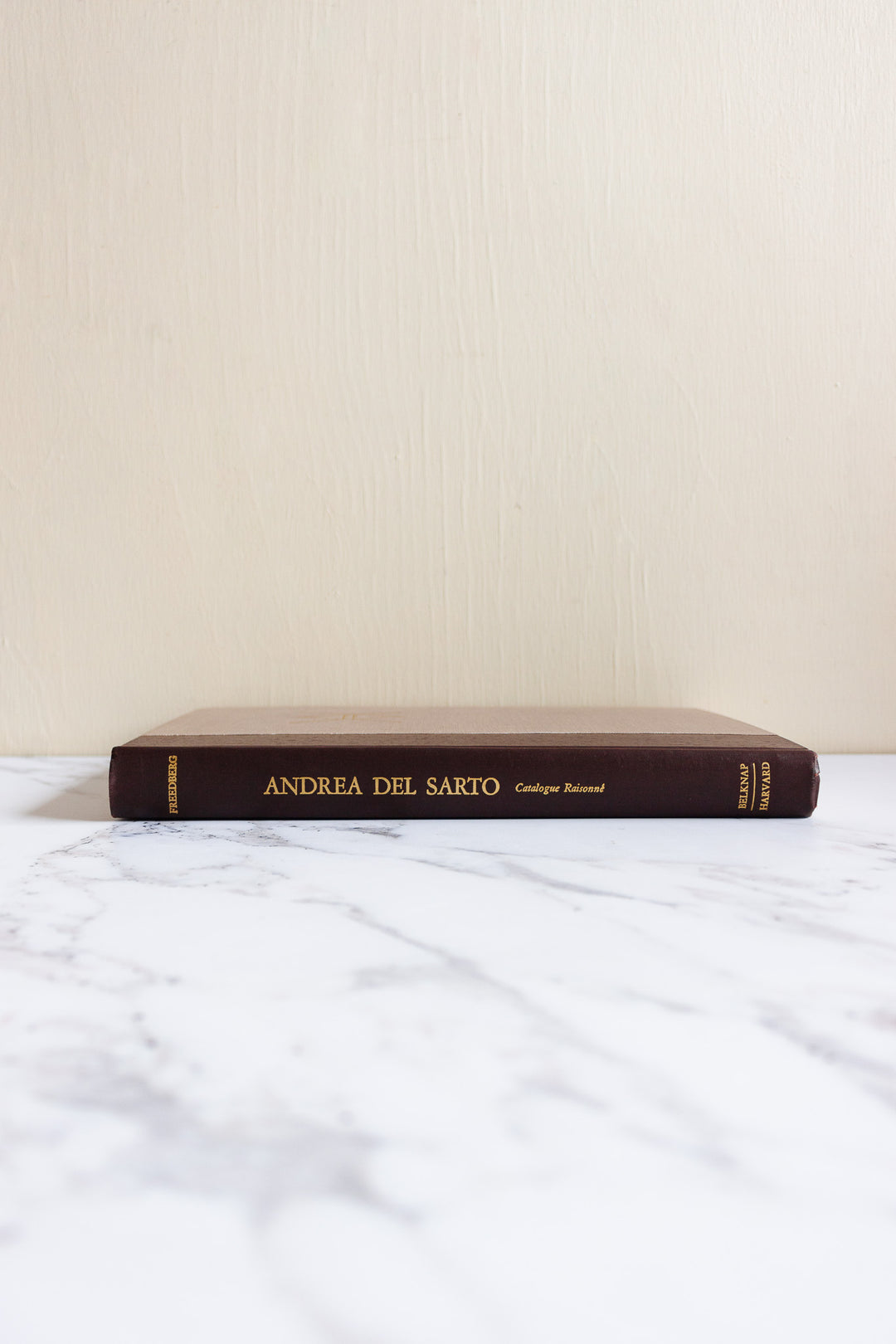 Andrea Del Sarto catalogue raisonnné