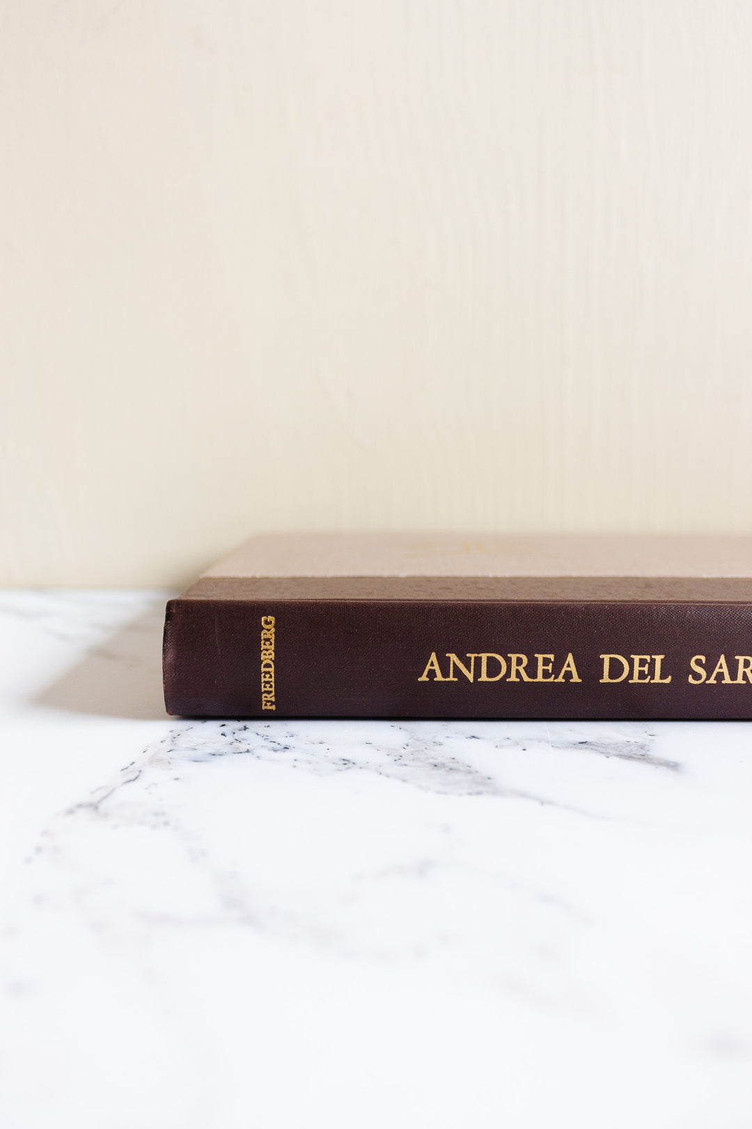 Andrea Del Sarto catalogue raisonnné