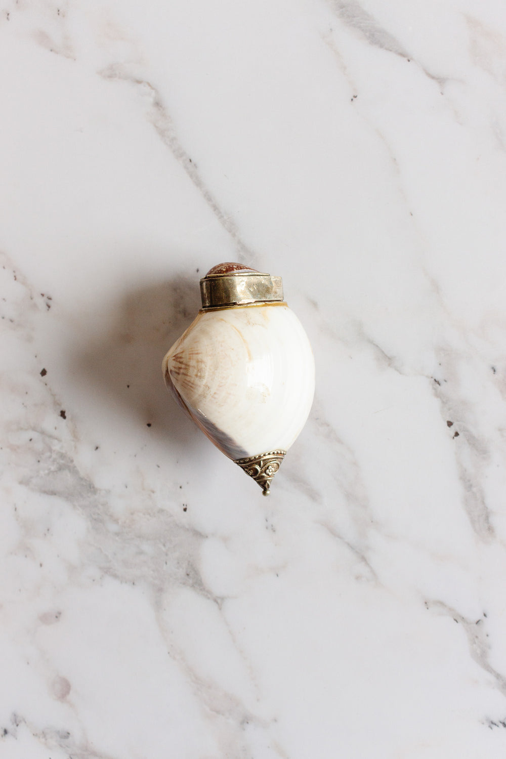19th century French silver and seashell snuff box
