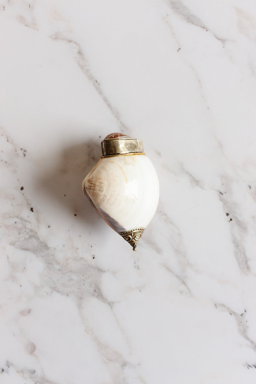 19th century French silver and seashell snuff box