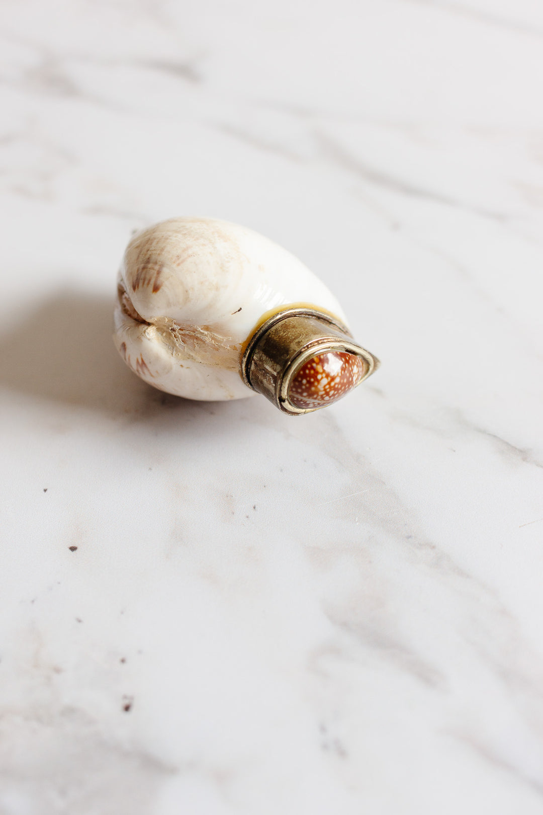 19th century French silver and seashell snuff box