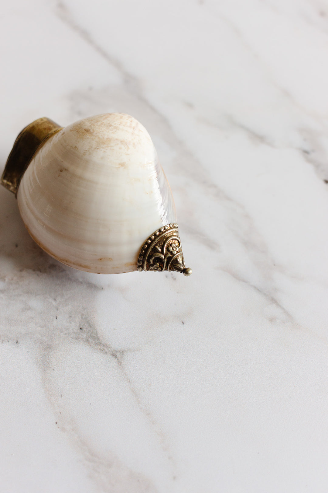 19th century French silver and seashell snuff box