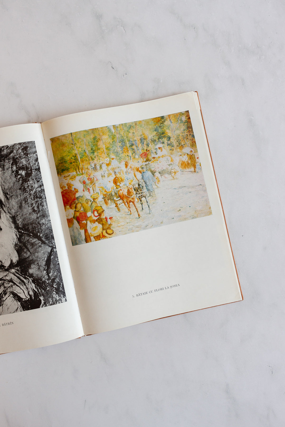 vintage Romanian art book, “luchian”