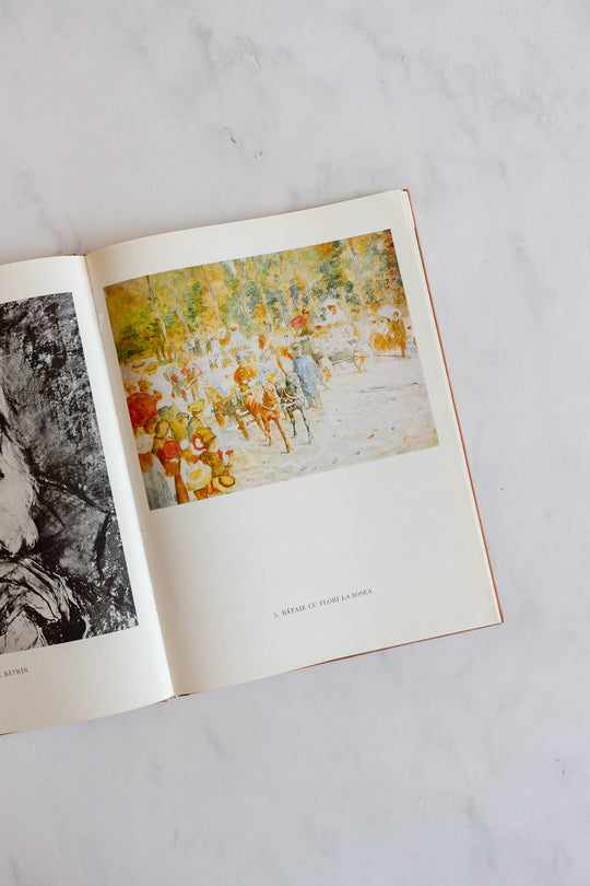 vintage Romanian art book, “luchian”