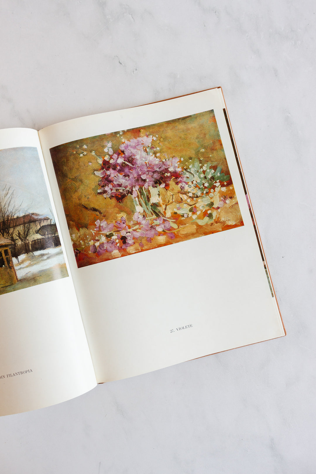 vintage Romanian art book, “luchian”