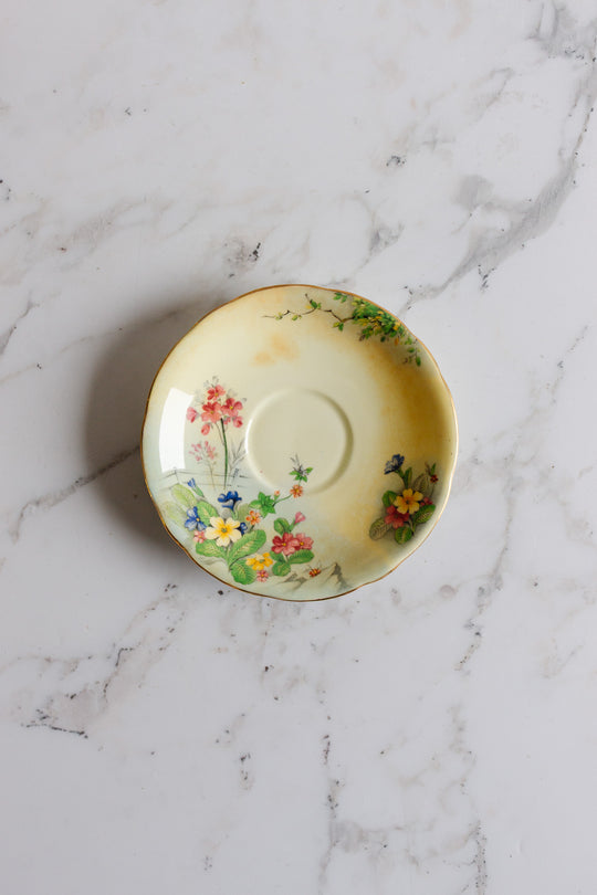 antique aynsley teacup and saucer B5137