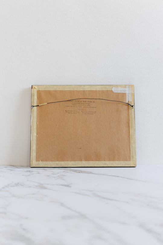 antique English hand coloured engraving