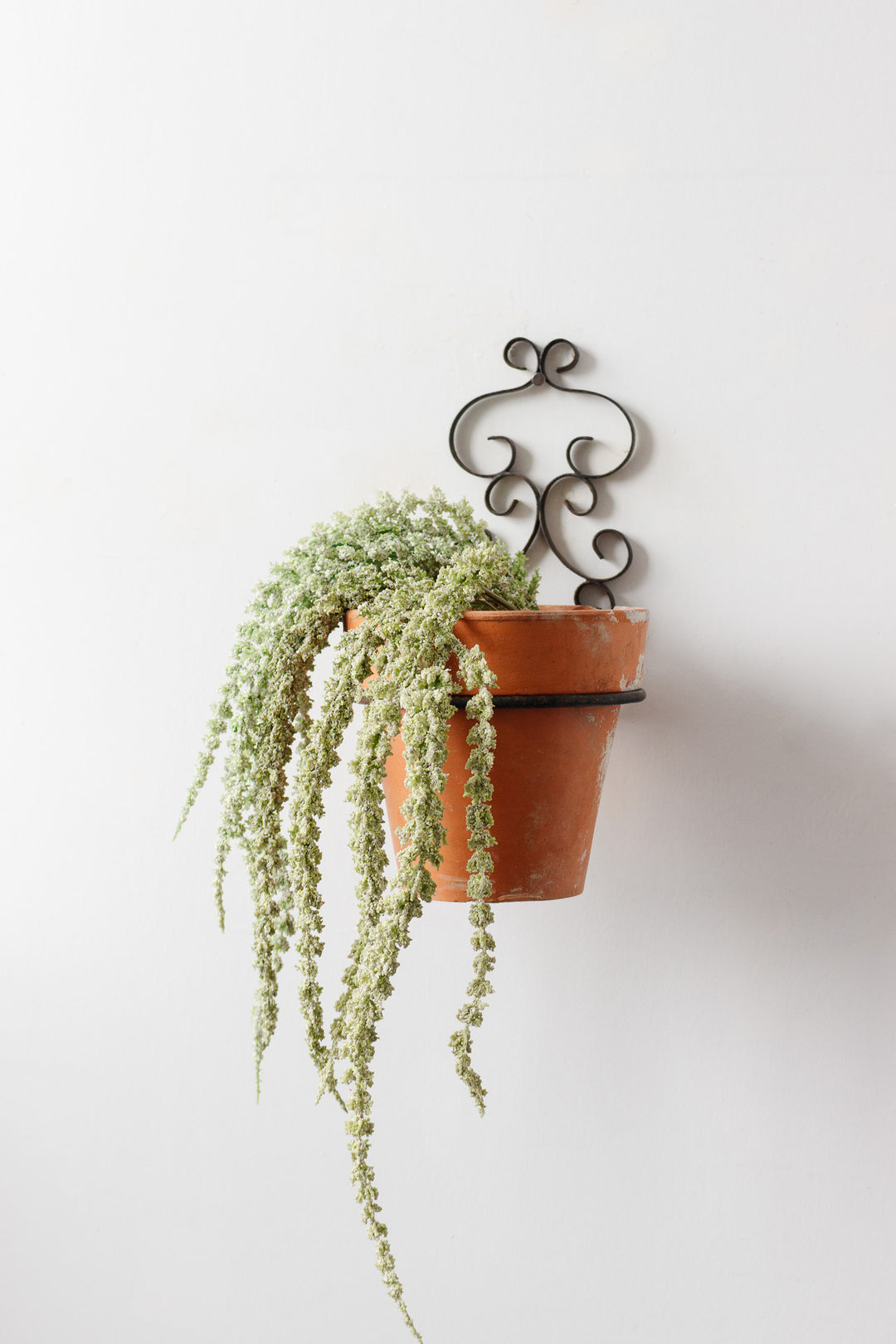 vintage french wall mounted plant holder