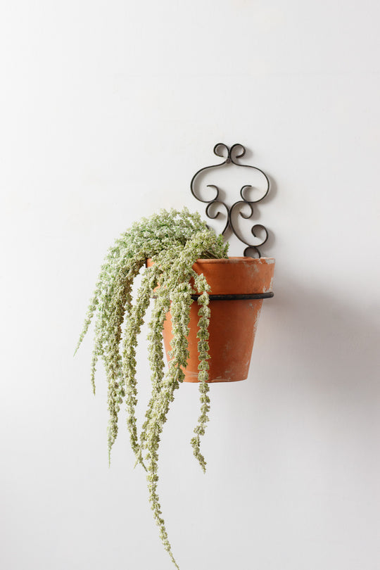 vintage french wall mounted plant holder