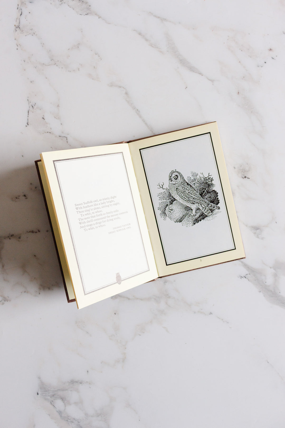 "owls" vintage book by WH Allen