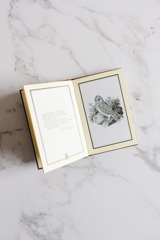 "owls" vintage book by WH Allen