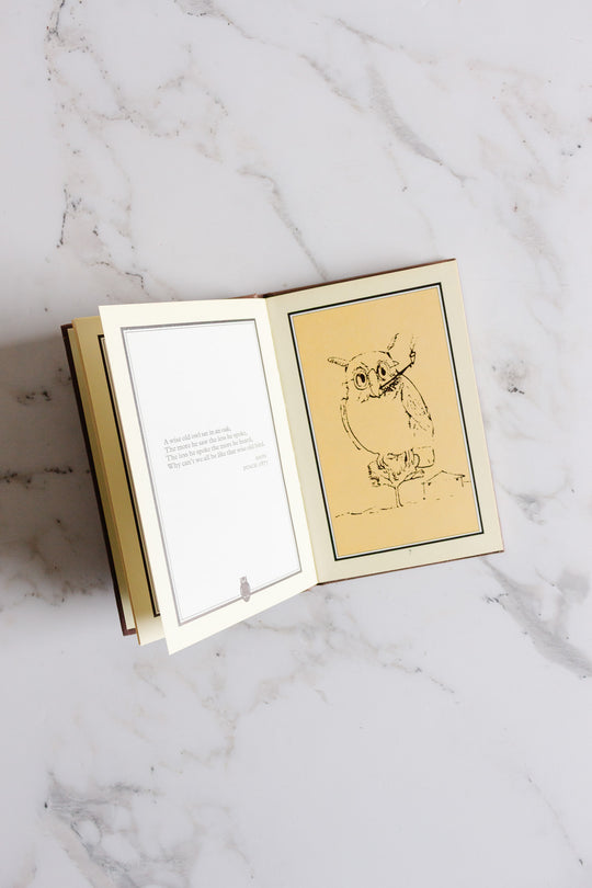 "owls" vintage book by WH Allen