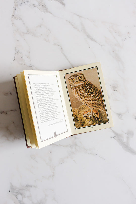 "owls" vintage book by WH Allen