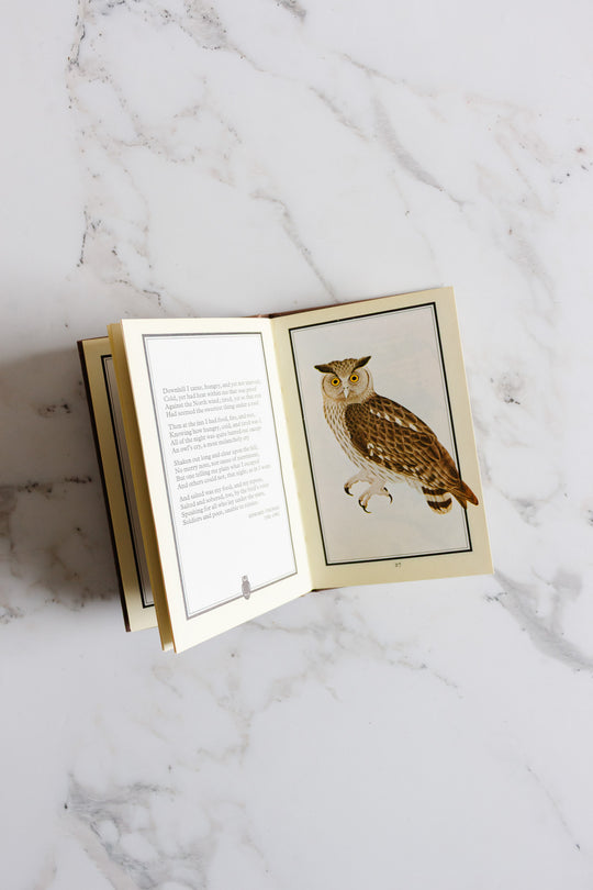 "owls" vintage book by WH Allen