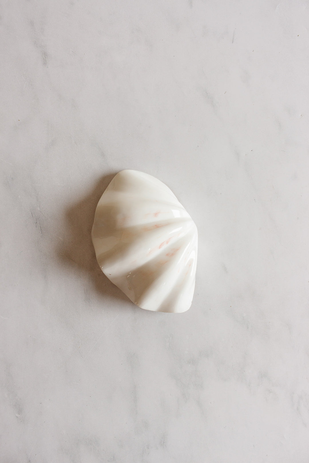 vintage marine large clam shell