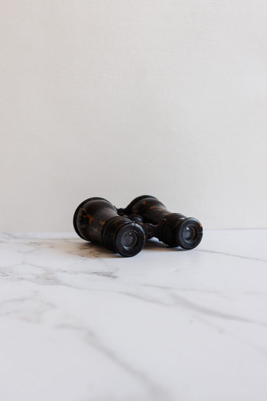 vintage french tortoise shell opera glasses in monogrammed leather case