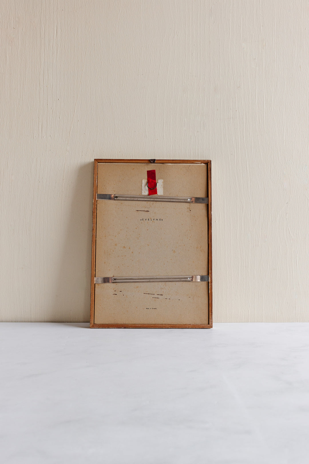 vintage Murr ornithological framed print