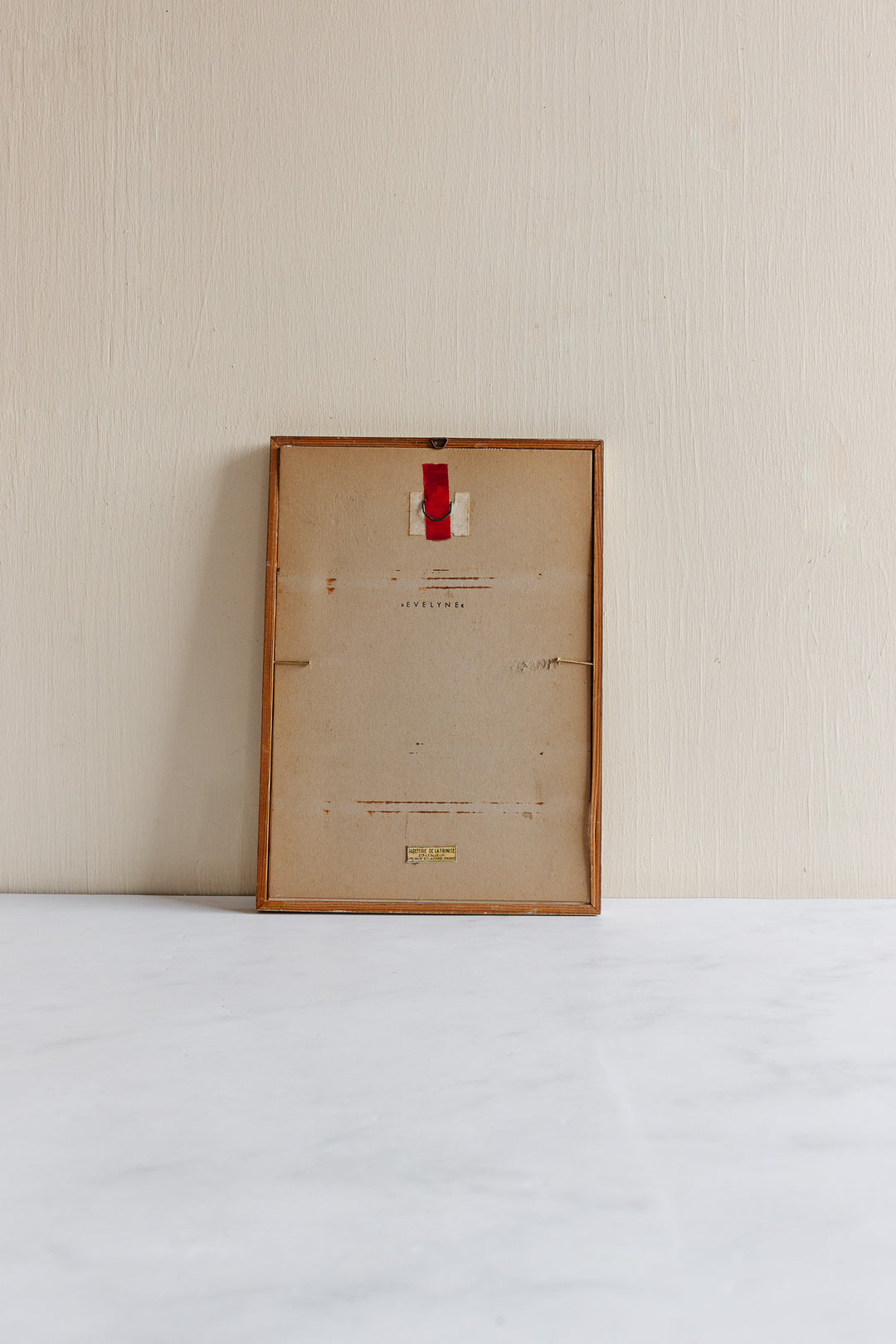 vintage Murr ornithological framed print