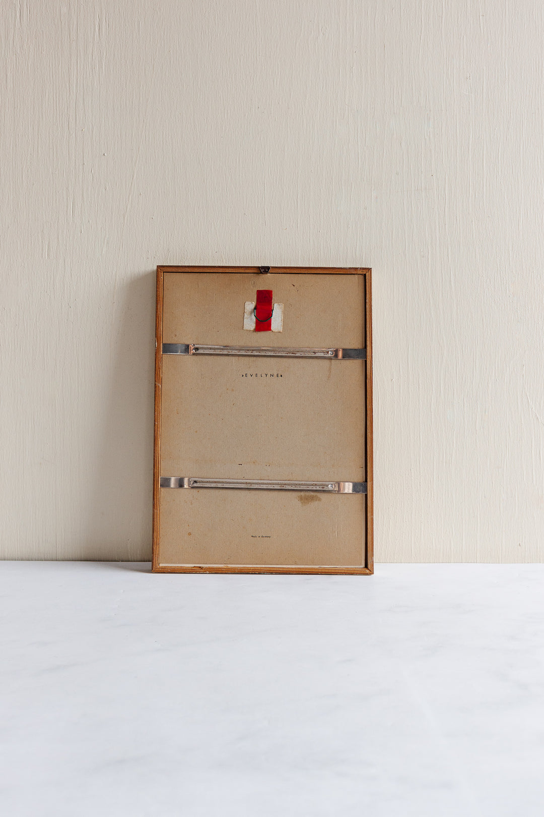 vintage Murr ornithological framed print