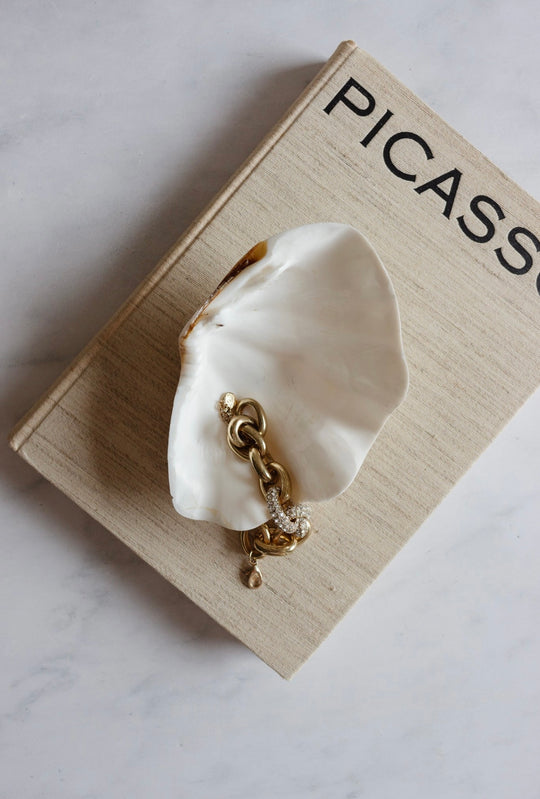 vintage marine large clam shell