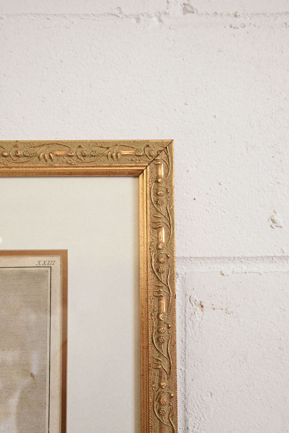 antique engraving "erato"