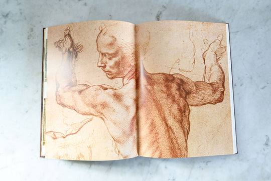 vintage hard cover art book "michelangelo"