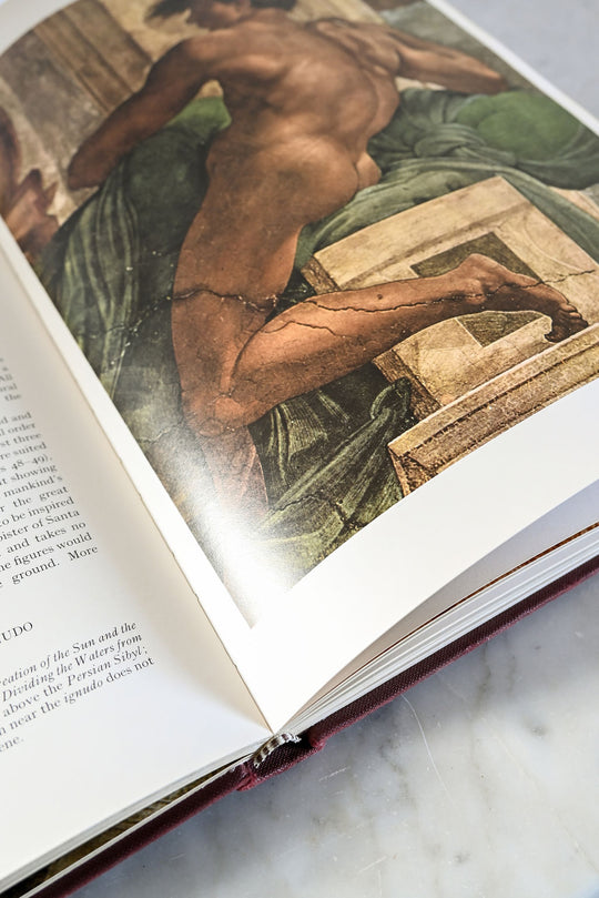 vintage hard cover art book "michelangelo"