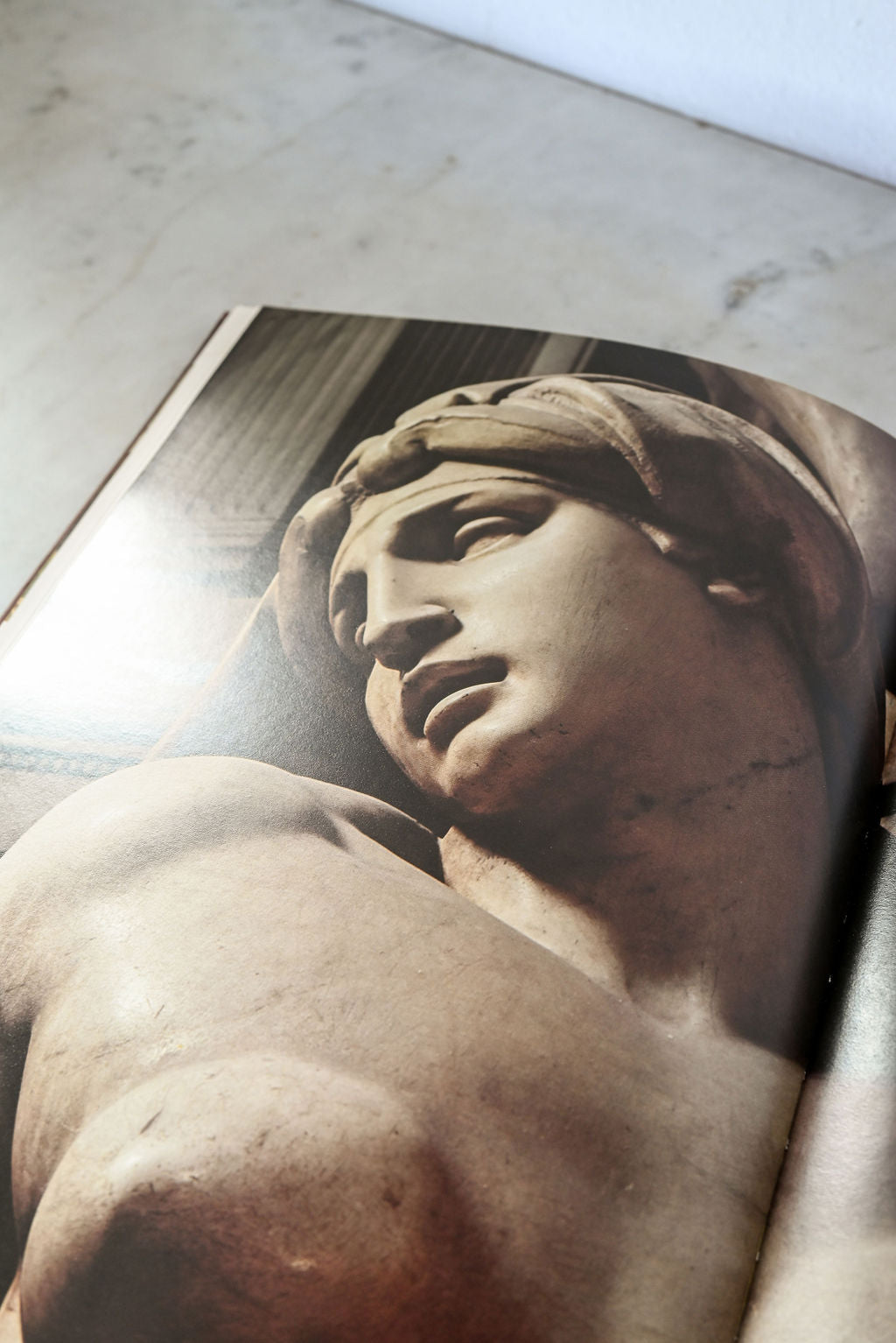 vintage hard cover art book "michelangelo"