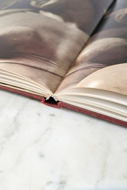 vintage hard cover art book "michelangelo"