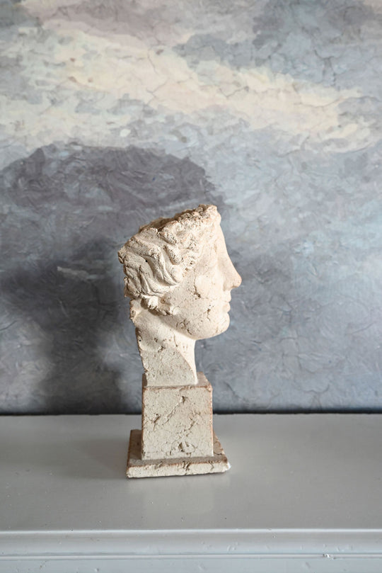 vintage neoclassical terra cotta bust i